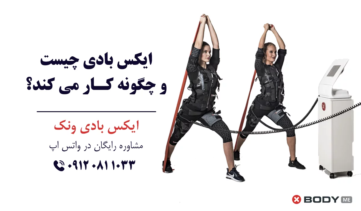 ایکس بادی چیست